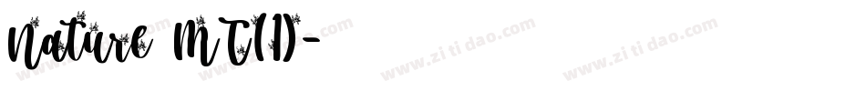 Nature MT(1)字体转换